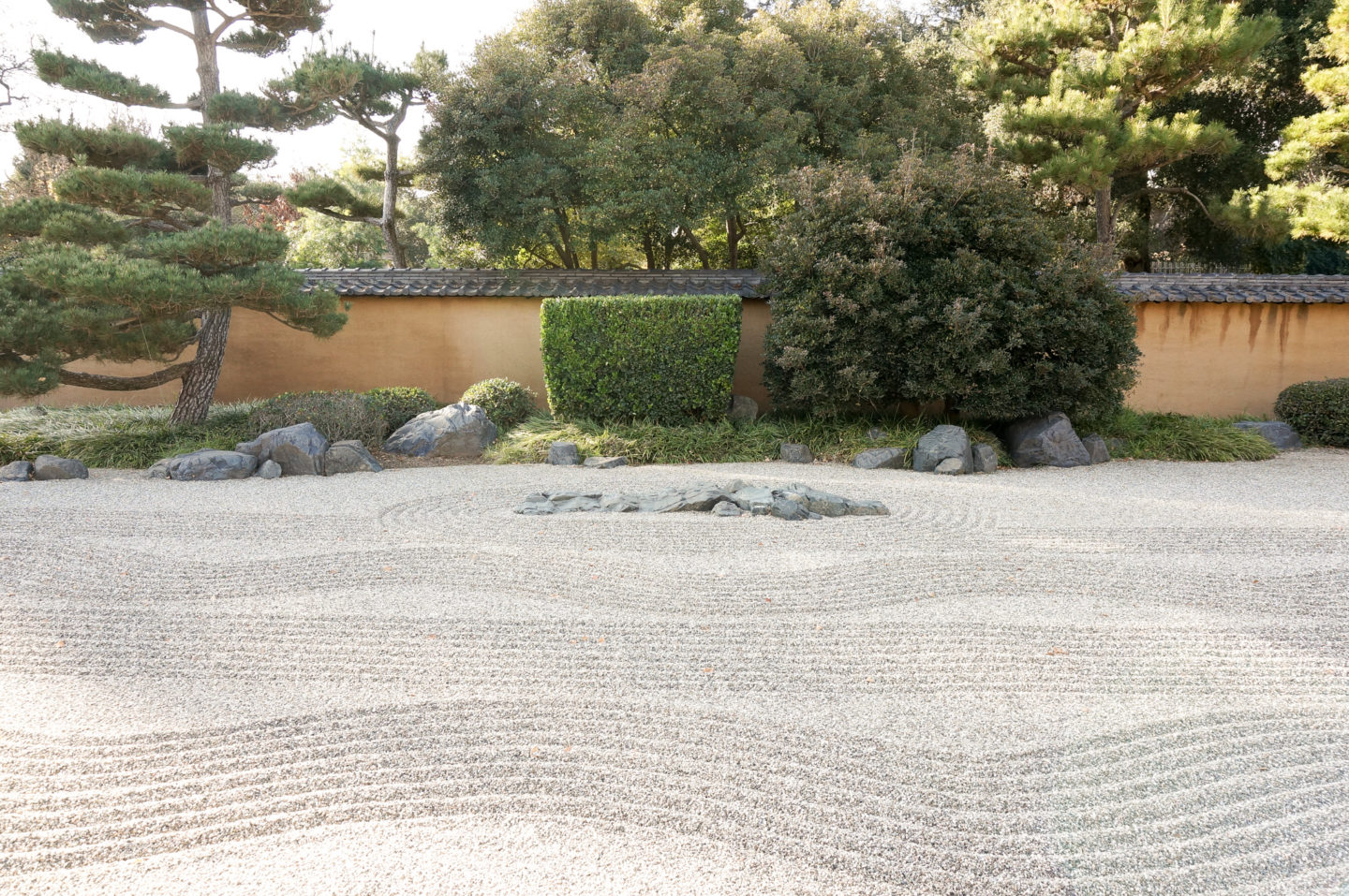 The Japanese Garden at the Huntington Gardens.