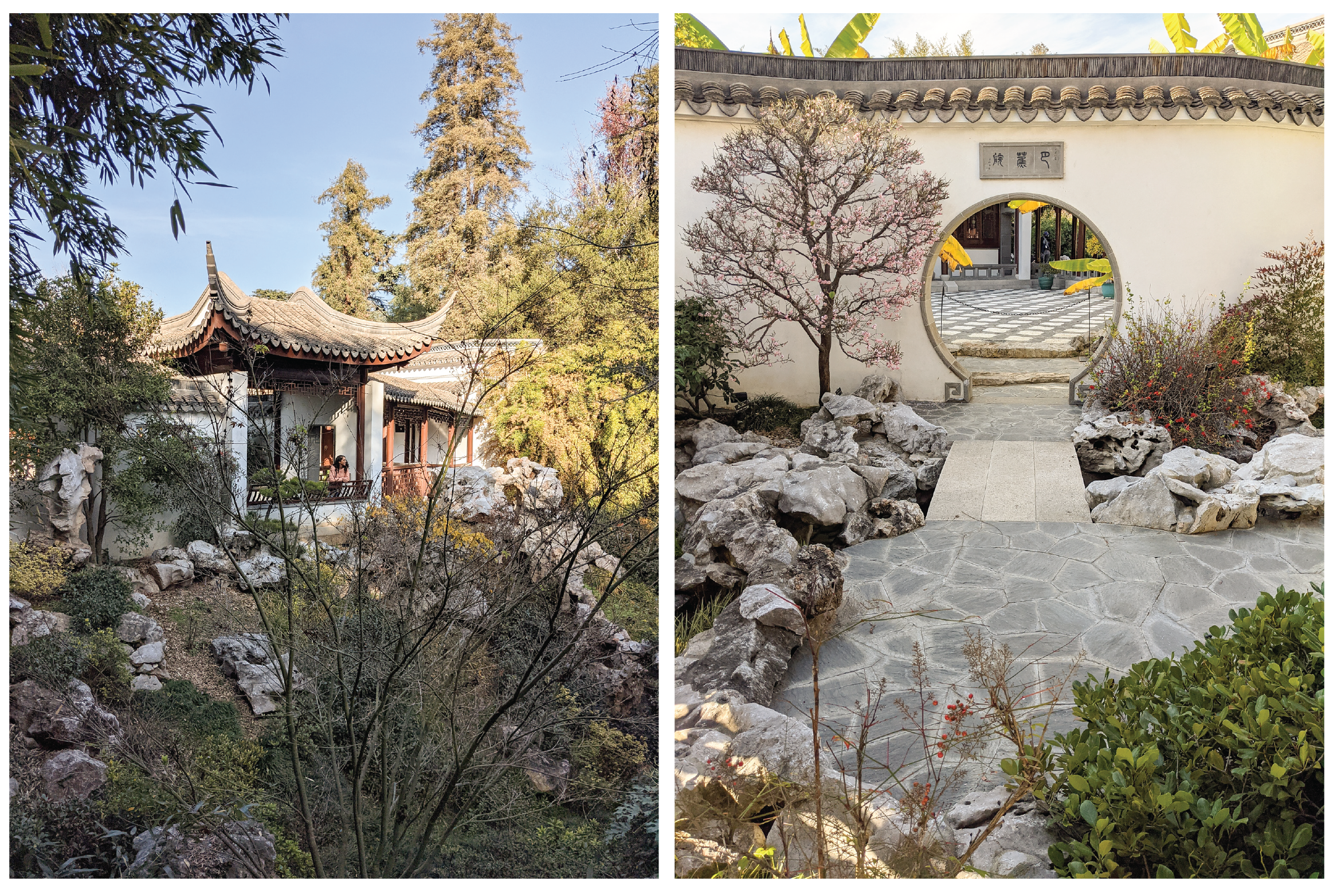 The Chinese Garden at the Huntington Gardens.